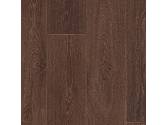 0475 Noma Chocolate