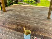 Renovace