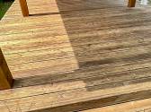 Renovace