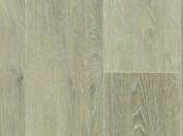 Chaparral Oak 509