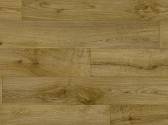 Willow Oak 636M
